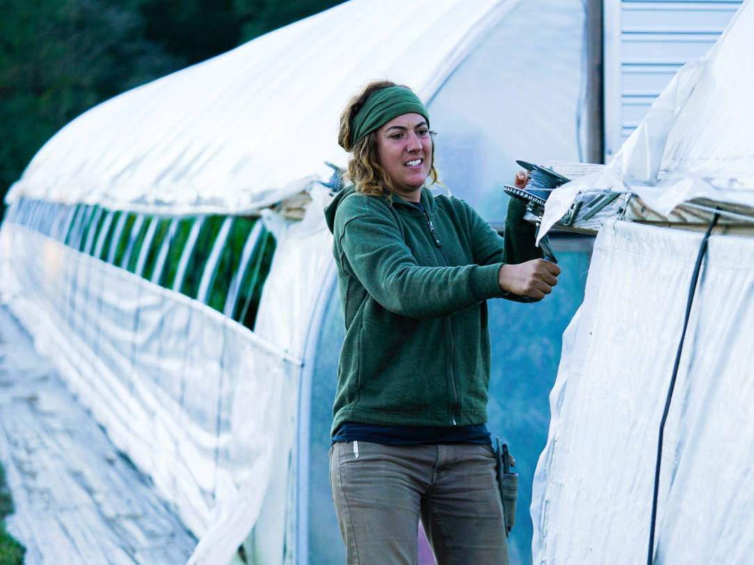 Shalom Farms | Employee working on greenhouse