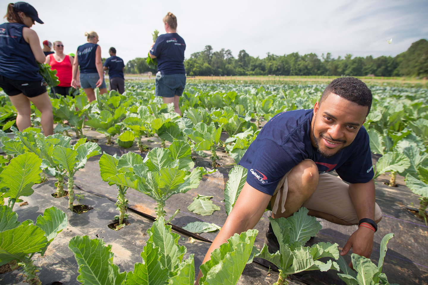 Shalom Farms | Volunteers from Capital One working in field