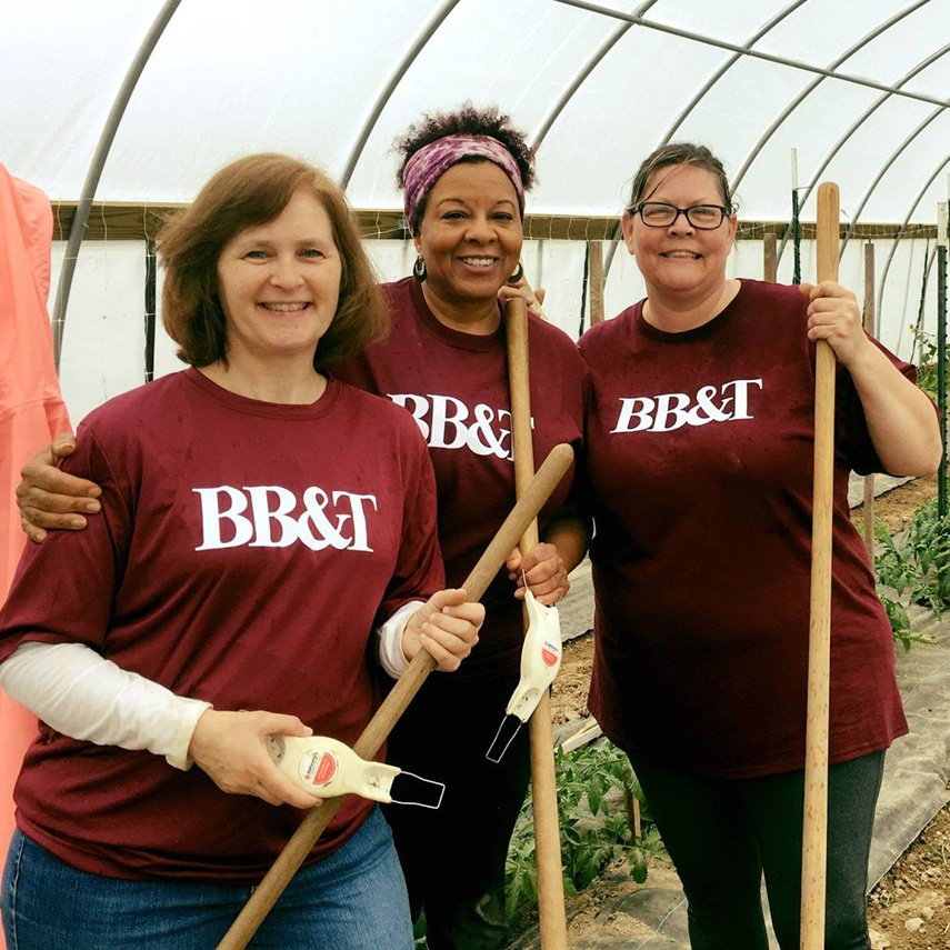 Shalom Farms | Volunteers from BB&T volunteering at farm