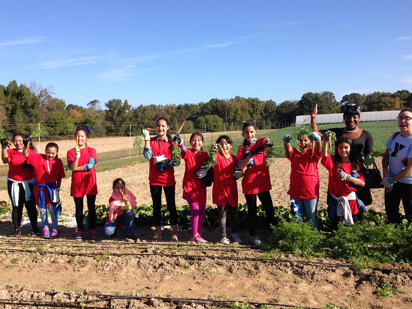 Group of kids at Shalom Farms for field trip