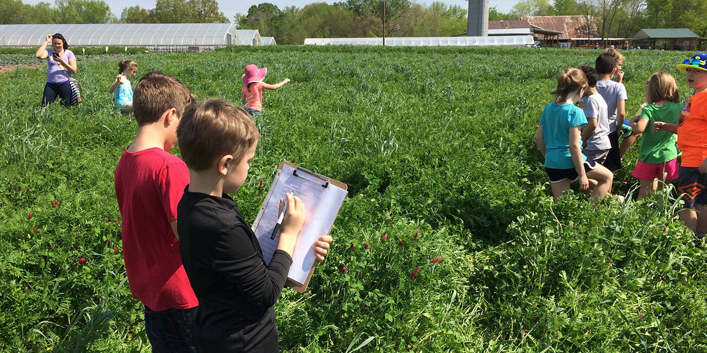 Group of kids at Shalom Farms for field trip