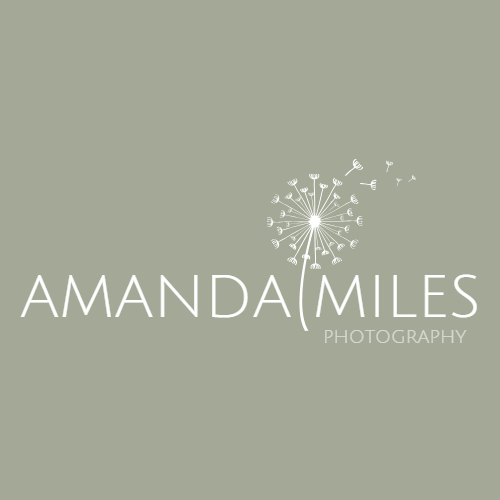 Amanda Miles Photography logo