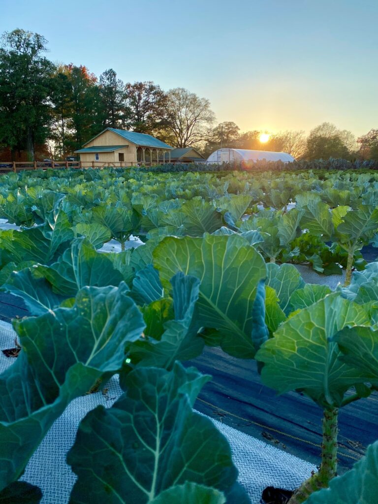 467011444 970045315164984 21746739258495314 n