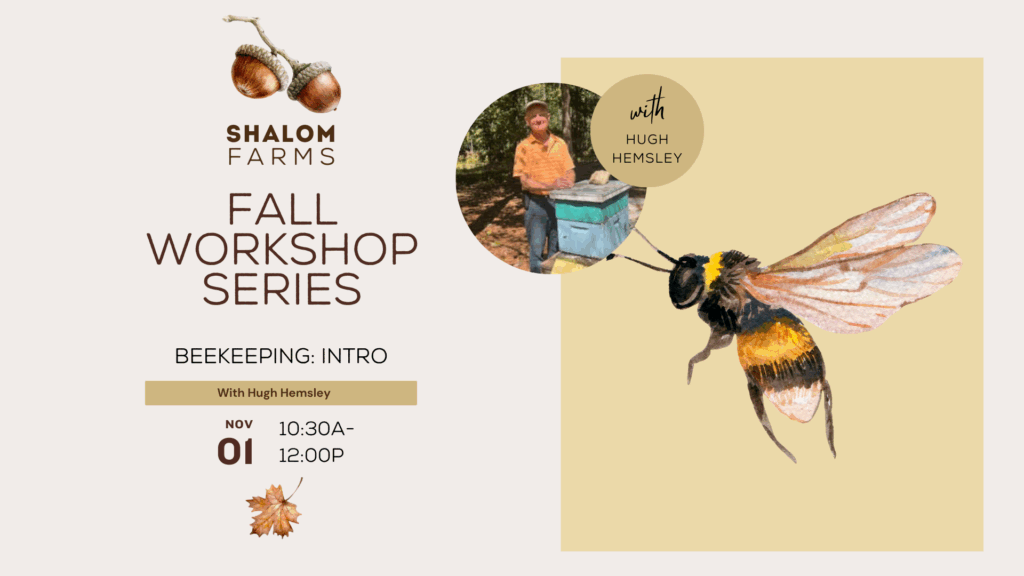 2025 Fall Workshop Event Cover (3)