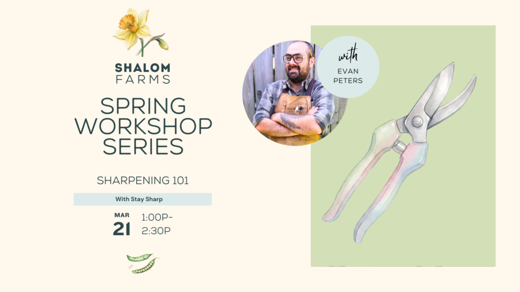 2026 Spring Workshop Event Cover